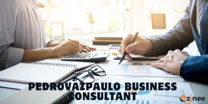 Pedrovazpaulo Business Consultant